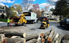 Best Lawn Seeding  in Beechwood, MS