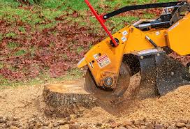 Best Leaf Removal  in Beechwood, MS